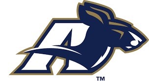 home team image